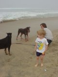 Dog Beach #5