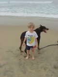 Dog Beach #7