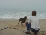 Dog Beach #8