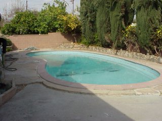 Back yard (facing north)