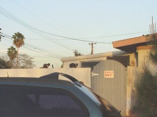 Some neighborhood residents